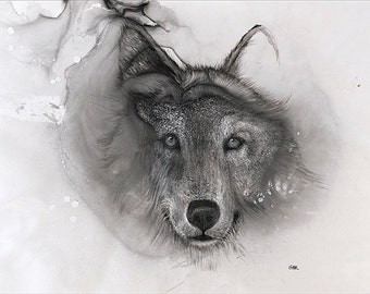 Wolf Flow