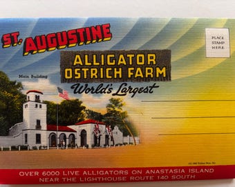 Alligator and Ostrich Farm St. Augustine - Vintage Postcard Booklet - Picture Souvenir Booklets