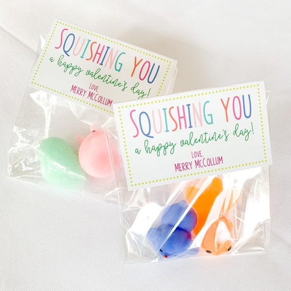 Personalized Valentine Treat Topper | Kids Valentine Favor Tag | Squishy Valentine | Squishing You A Happy Valentine's Day | Class Valentine