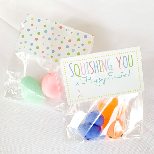 Squishing You Easter Treat Topper | Kids Easter Favor Tag | Squishy Easter | Squishing You A Happy Easter | Class Easter Treat | Boy or Girl