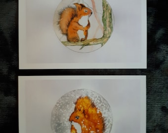 Eichhörnchen (2 Karten)