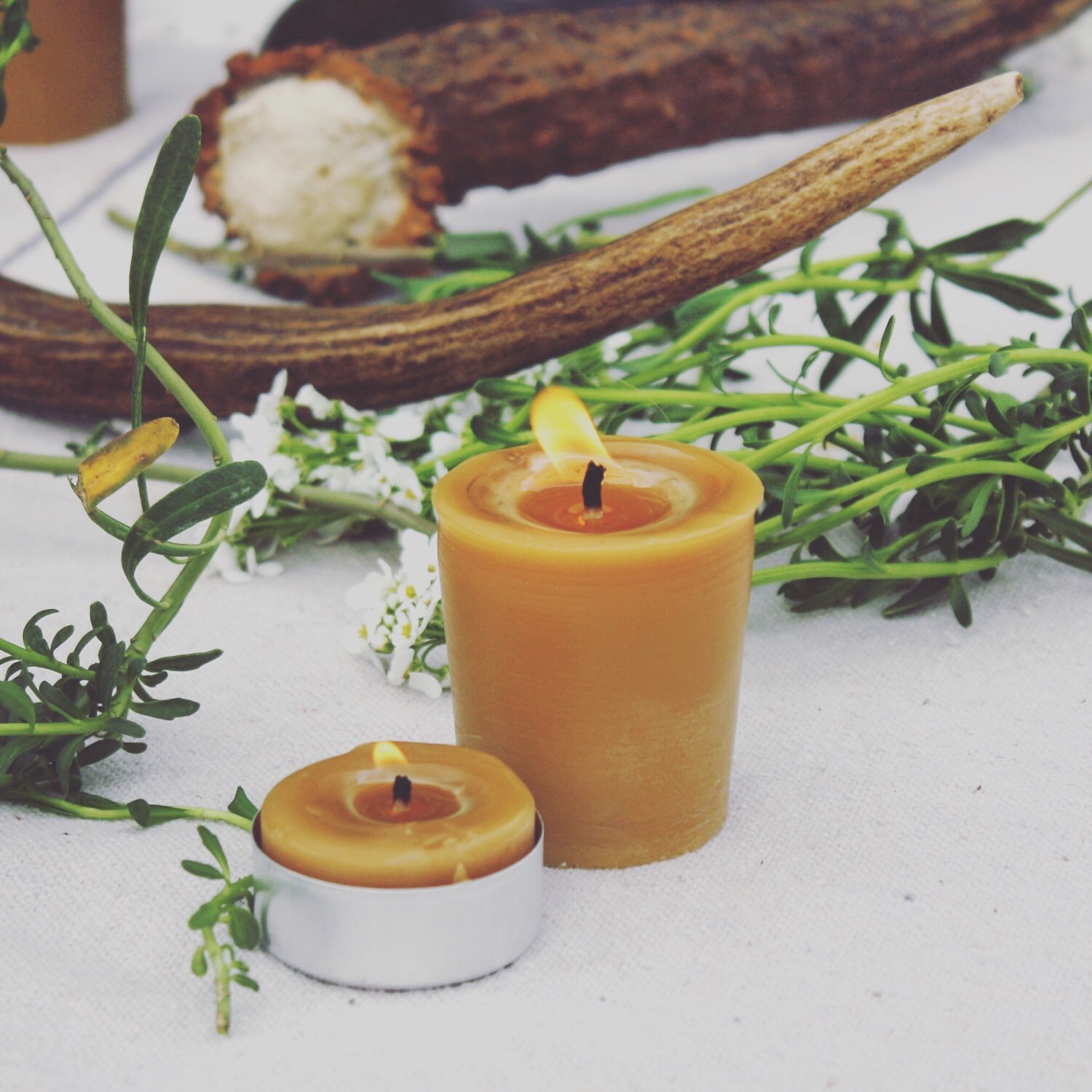 100 BEESWAX TEALIGHTS bulk organic beeswax tea lights pure Etsy