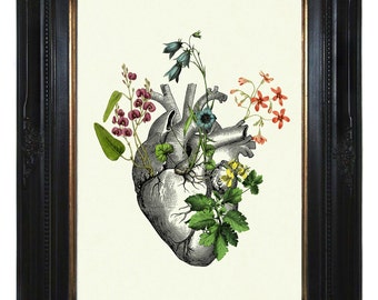 Flowers Anatomical Heart Art Print II Love - Victorian Steampunk Art Print Gothic Morbid Poster