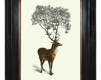 Herten Stag Hannibal Art Print Boom groeit uit geweien - Dark Academia Victoriaanse Steampunk Woodland Forest Surrealisme Poster Decoratie