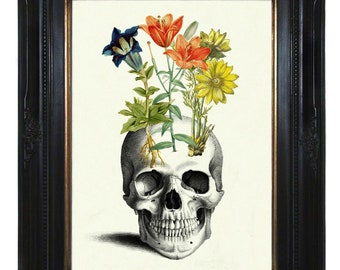 Flowers human Skull Anatomy morbid Botany Dark Academia Halloween - Victorian Steampunk Gothic Art Print Poster Decoration