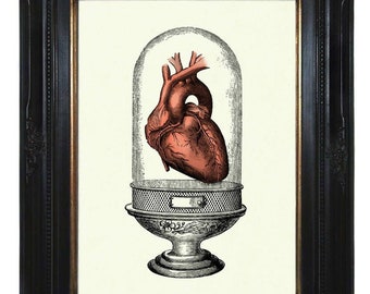 Anatomical Heart Glass Dome Love Valentine's Day Dark Academia - Gothic Victorian Steampunk Art Print Halloween Poster