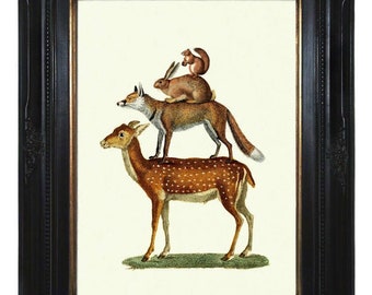 Bosdieren piramide herten Fox konijn eekhoorn Circus - Cottagecore Victoriaanse Steampunk Art Print Poster natuurlijke historie surrealisme