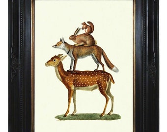 Animales del bosque pirámide ciervo zorro conejo ardilla circo - Cottagecore victoriano Steampunk arte impresión cartel historia natural surrealismo