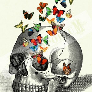 Butterflies human Skull Art Print Anatomy Dark Academia Gothic Art Print Halloween Victorian Steampunk morbid Poster Decoration image 3