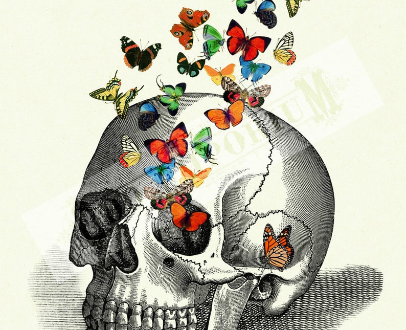 Butterflies human Skull Art Print Anatomy Dark Academia Gothic Art Print Halloween Victorian Steampunk morbid Poster Decoration image 3