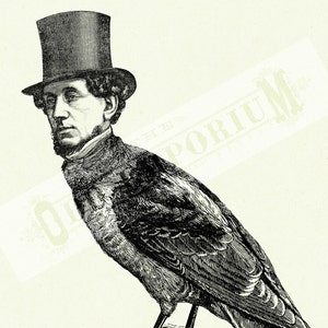 Gentleman Birdman with Top Hat Bird Raven Crow Cryptozoology Victorian Steampunk Art Print Halloween Surreal Poster image 3