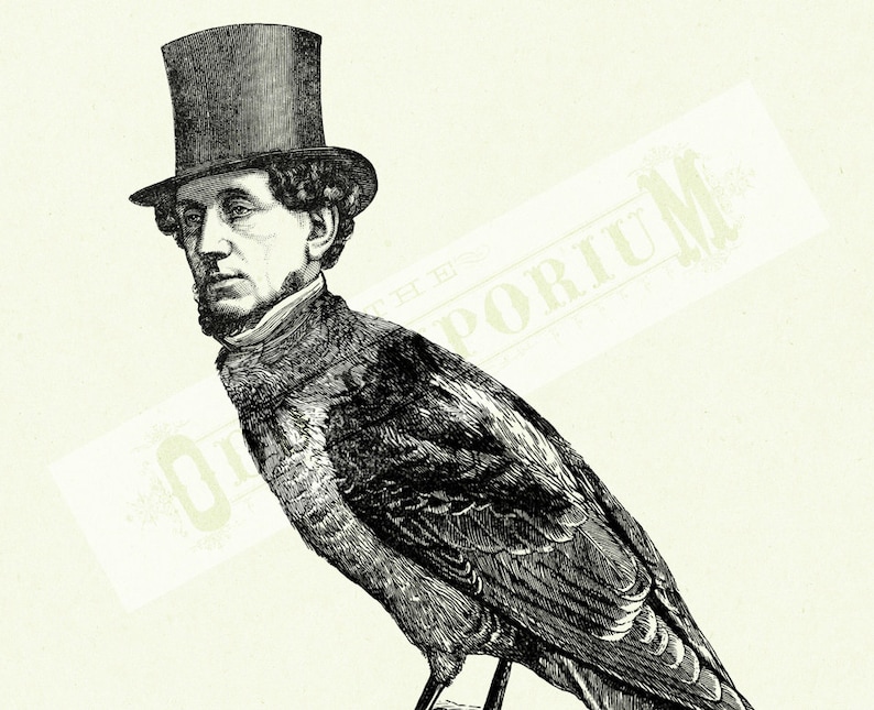 Gentleman Birdman with Top Hat Bird Raven Crow Cryptozoology Victorian Steampunk Art Print Halloween Surreal Poster image 3