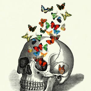 Butterflies human Skull Art Print Anatomy Dark Academia Gothic Art Print Halloween Victorian Steampunk morbid Poster Decoration image 2