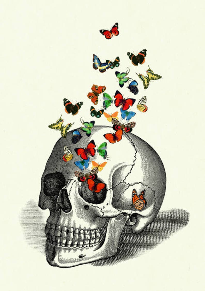 Mariposas cráneo humano arte impresión anatomía Academia oscura arte gótico impresión Halloween victoriano Steampunk morboso cartel decoración imagen 2