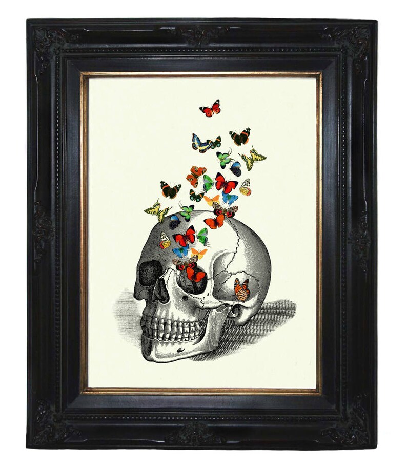 Mariposas cráneo humano arte impresión anatomía Academia oscura arte gótico impresión Halloween victoriano Steampunk morboso cartel decoración imagen 1