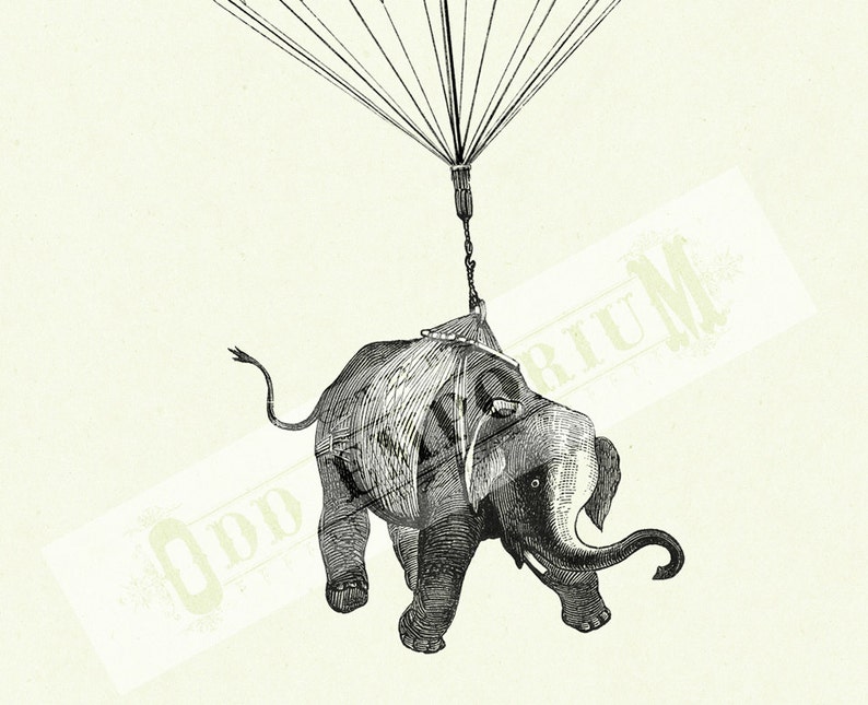 Elephant Nursery Circus Pink Parachute Victorian Steampunk Natural History Animal Art Print Poster Vintage image 3