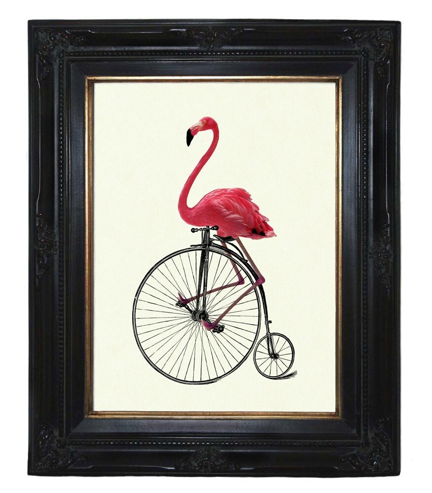 Pink Flamingo Bird Art Print Riding Bike Unicycle Penny Farthing