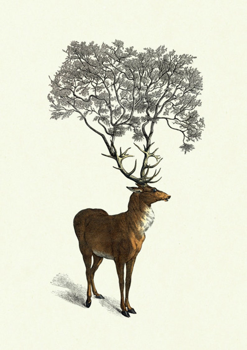 Deer Stag Hannibal Art Print Tree growing from Antlers Dark Academia Victorian Steampunk Woodland Forest Surrealism Poster Decoration image 2