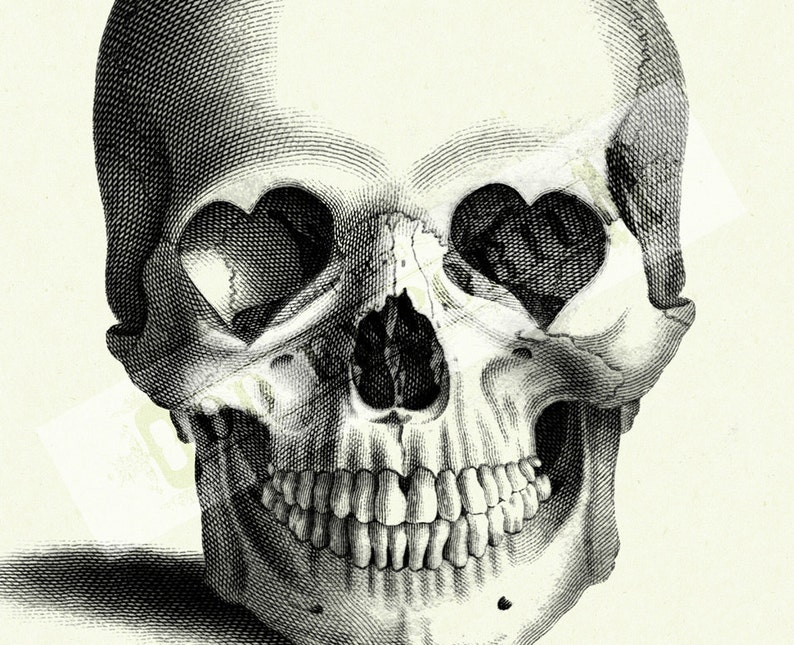 Calavera de Halloween, gótico, Academia oscura, enchufes en forma de corazón para el Día de San Valentín, decoración de póster impreso artístico victoriano Steampunk imagen 3