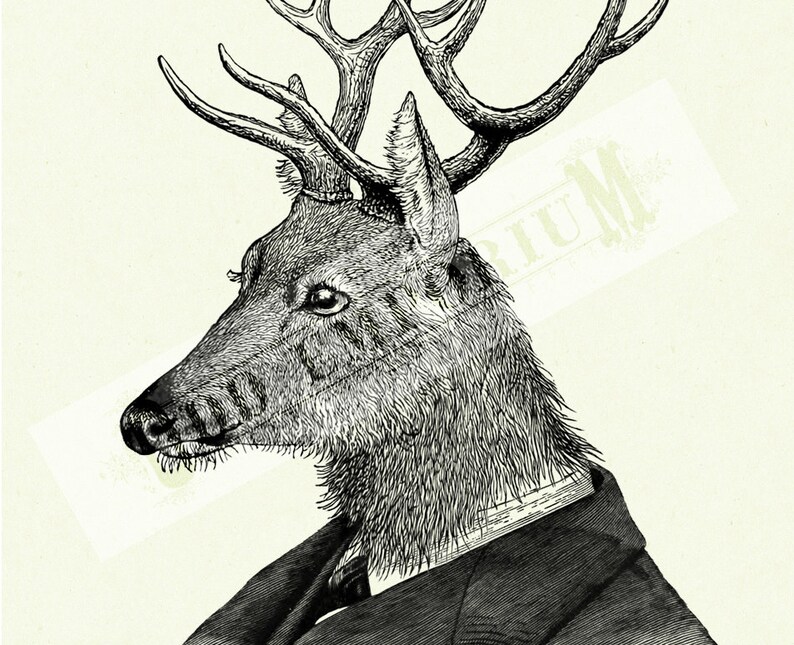 Deer Gentleman Stag Portrait Antlers Victorian Steampunk Art Print Frock Woodland Animal Poster image 3