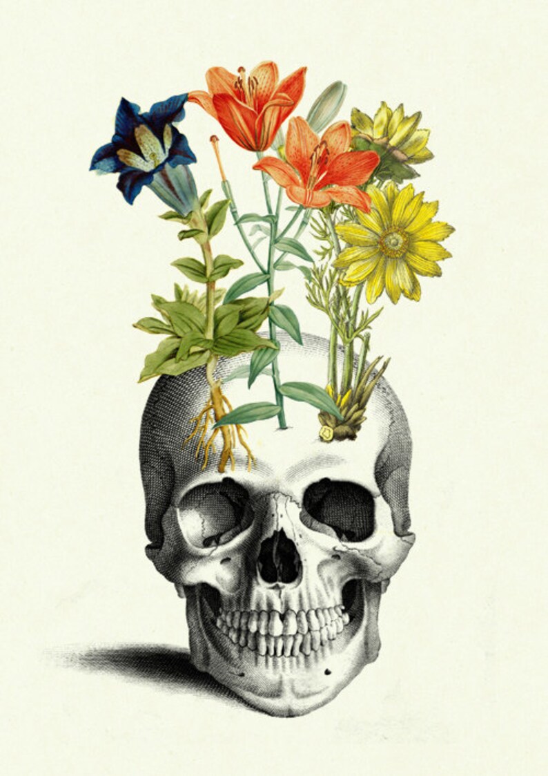 Flowers Grow on Human Skull Anatomy Morbid Botany Victorian Etsy