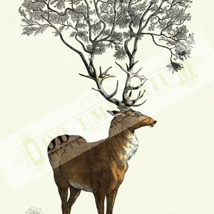 Deer Stag Hannibal Art Print Tree growing from Antlers Dark Academia Victorian Steampunk Woodland Forest Surrealism Poster Decoration image 3