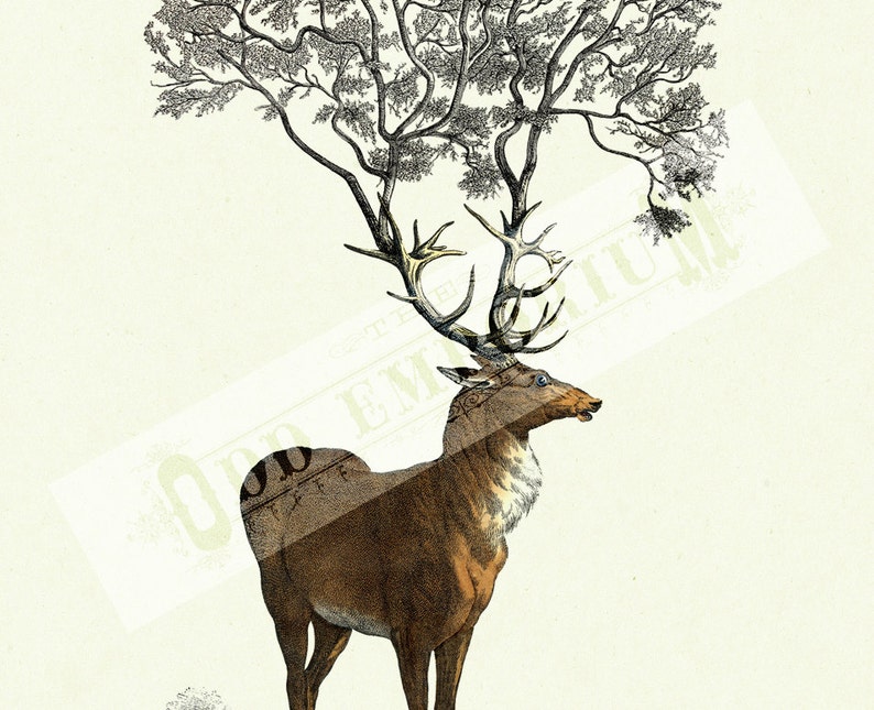 Deer Stag Hannibal Art Print Tree growing from Antlers Dark Academia Victorian Steampunk Woodland Forest Surrealism Poster Decoration image 3