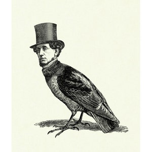 Gentleman Birdman with Top Hat Bird Raven Crow Cryptozoology Victorian Steampunk Art Print Halloween Surreal Poster image 2