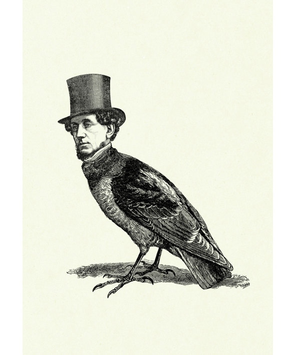 Gentleman Birdman With Top Hat Victorian Steampunk Art Print - Etsy