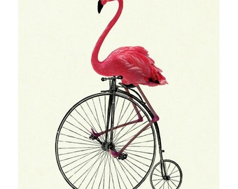 オランダ製自転車 UNION FLAMINGO (ユニオン フラミンゴ） Union Flamingo
