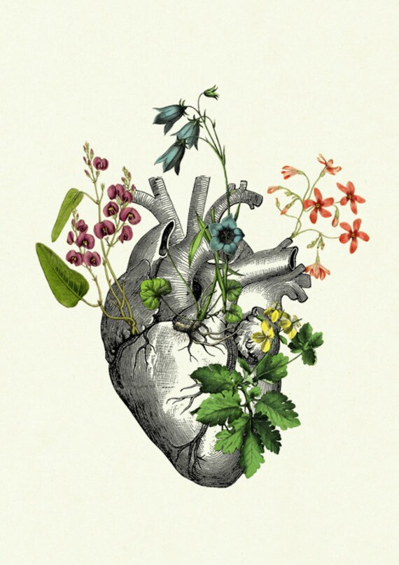 Flowers Anatomical Heart Art Print II Love Dark Academia