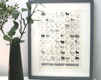British sheep breeds print