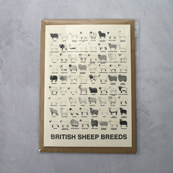 Carte A6 sur les races ovines britanniques