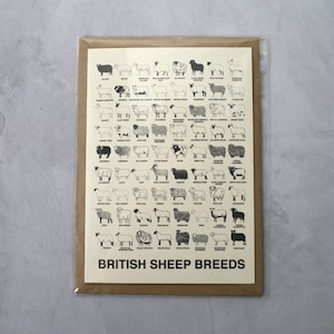 A5 Britische Schafrassen Karte