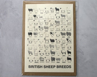 A5 British Sheep Breeds Card
