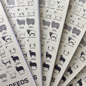 Cuaderno de razas de ovejas británicas