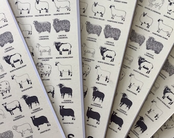 British sheep breeds notebook