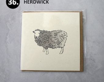 Individual British Sheep Breed Card