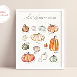 May include: A watercolor illustration of different types of heirloom pumpkins with their names written underneath each one. The pumpkins are drawn in various shades of orange, green, and white.