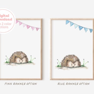 Instant Download, Watercolor hedgehog for baby nursery, available with pink and blue banner