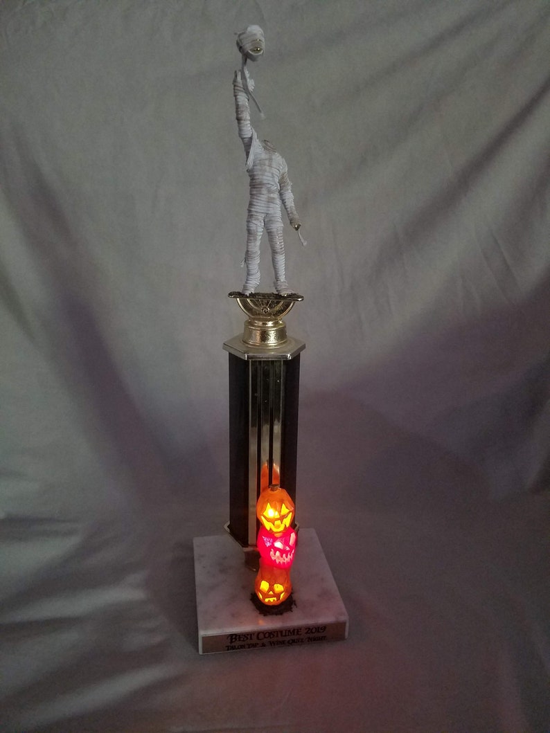 Custom Art Trophy Upcycled & Repurposed Nostalgic Prizes image 9