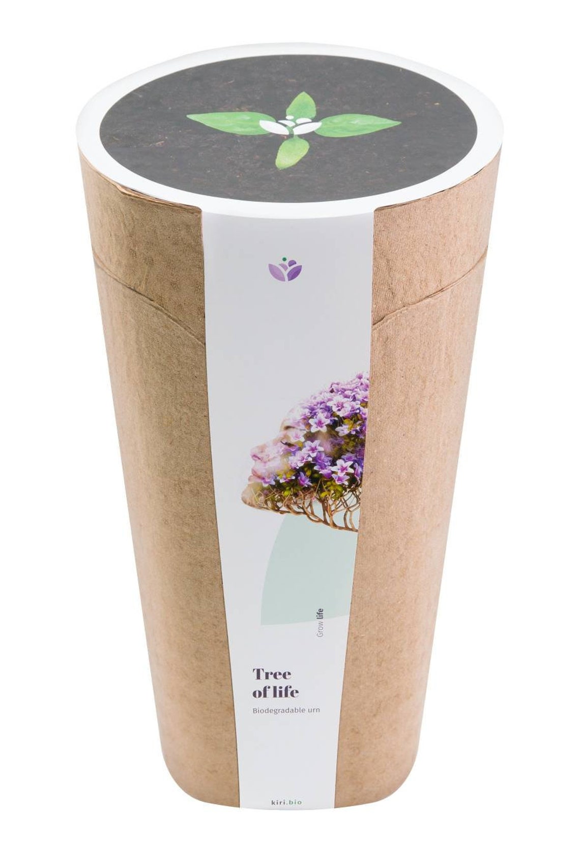 Tree Urn Biodegradable Urn Human Urn Celebration of Life Etsy