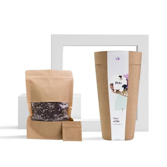 Tree Urn Biodegradable Urn Human Urn Celebration of Life Etsy