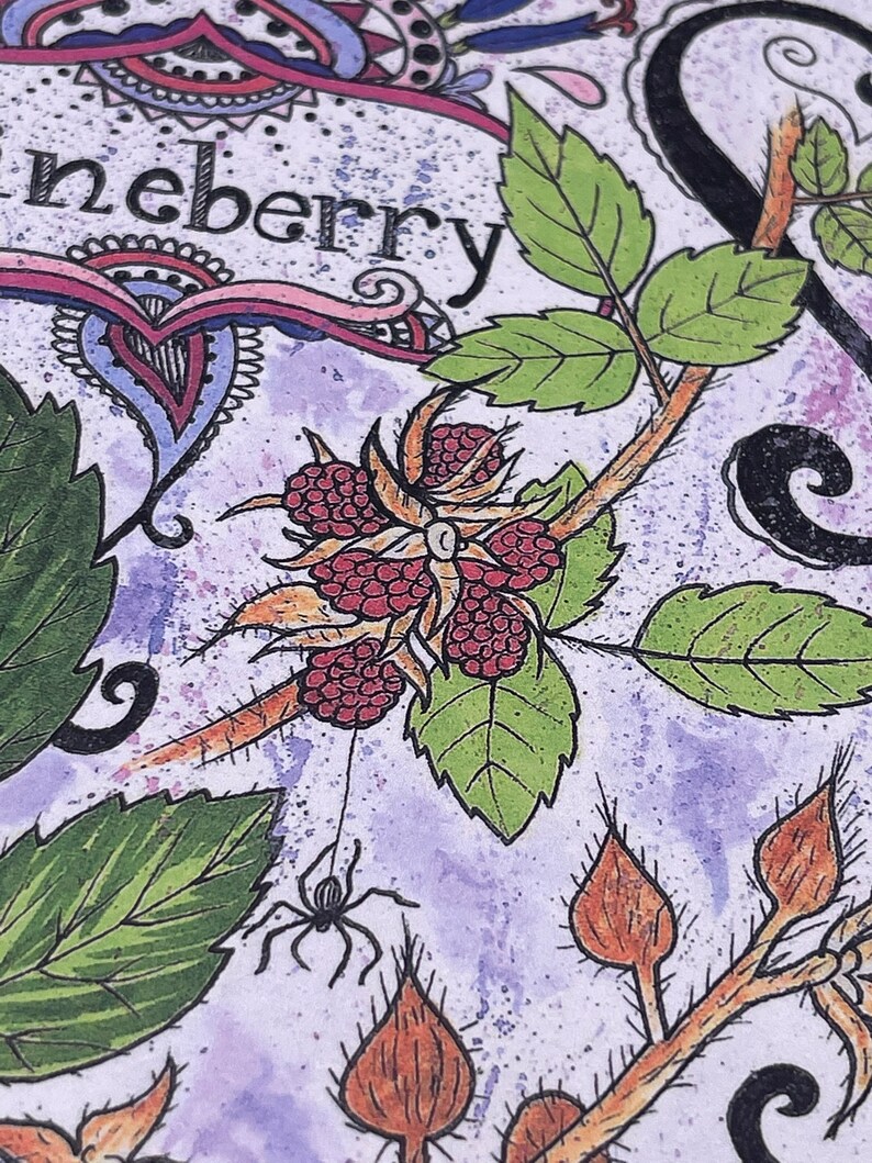 Wild Berry Botanical Infographic Art Print - Etsy