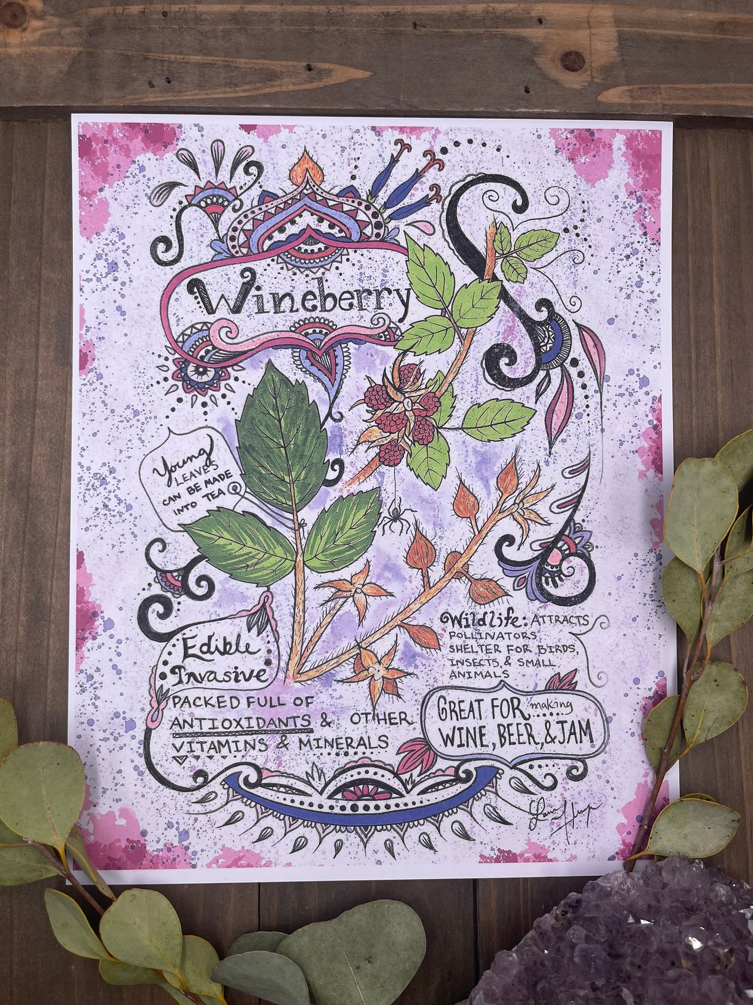 Wild Berry Botanical Infographic Art Print - Etsy