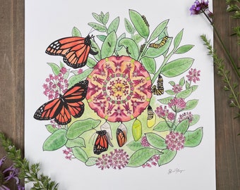 Monarch Butterfly Life Cycle Art Print