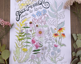 Lámina artística sobre plantas polinizadoras que favorecen a las abejas