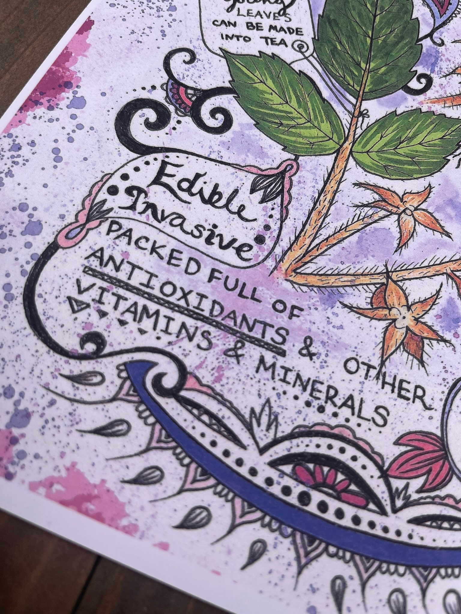 Wild Berry Botanical Infographic Art Print - Etsy