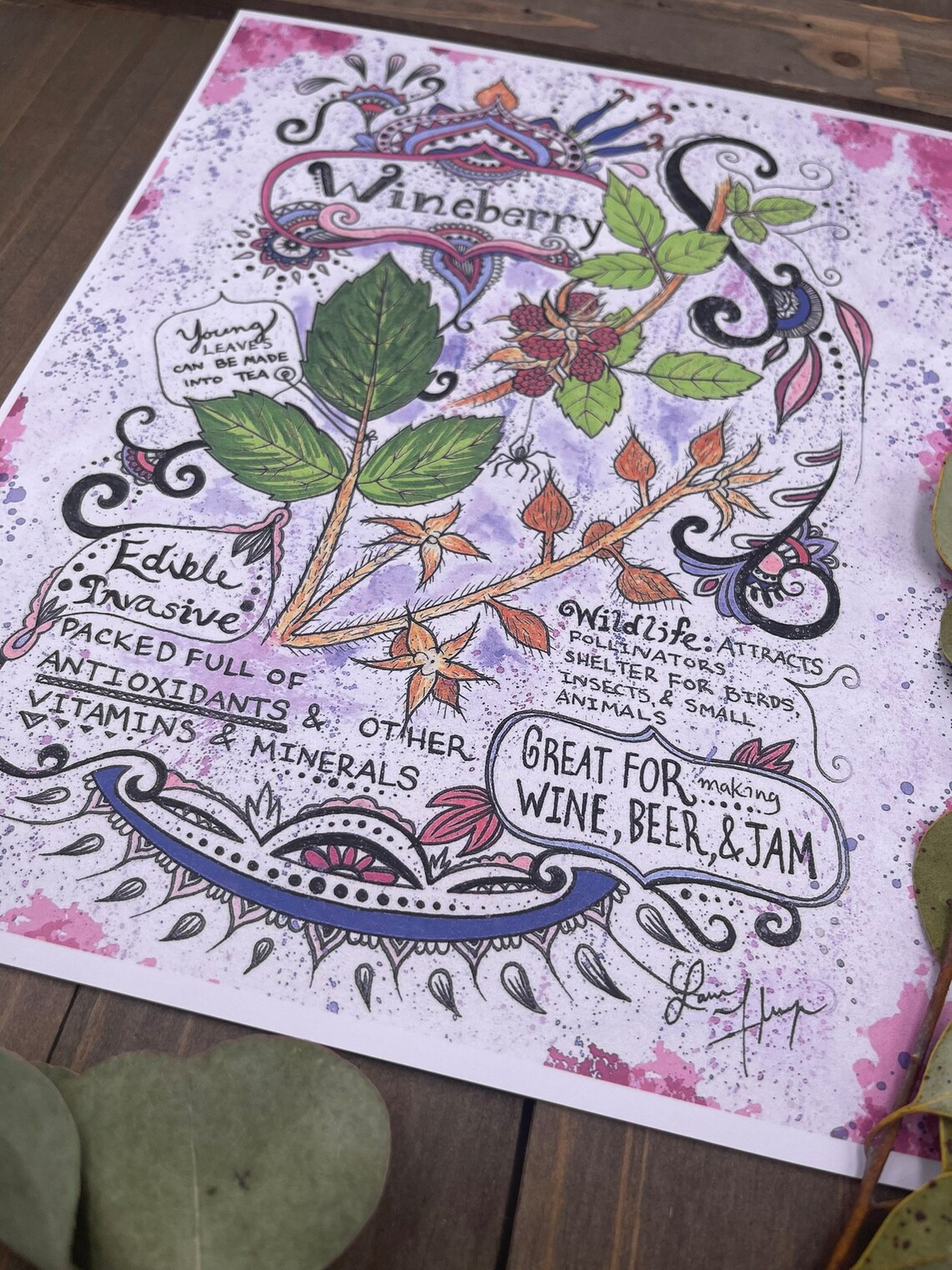 Wild Berry Botanical Infographic Art Print - Etsy