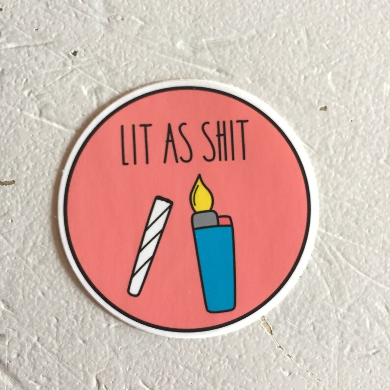 funny vinyl sticker laptop sticker trendy sticker lit etsy